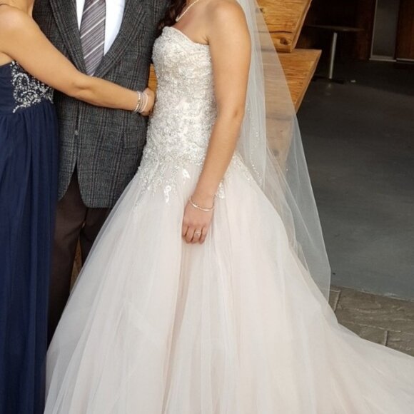 Aline Drop Waist Wedding dress - Picture 5 of 5